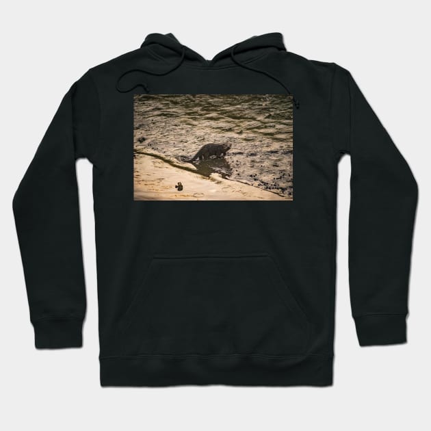 Otter Hoodie by KensLensDesigns